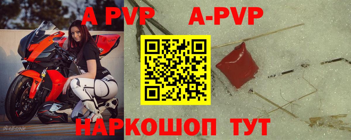 A-PVP СК КРИС Гусев