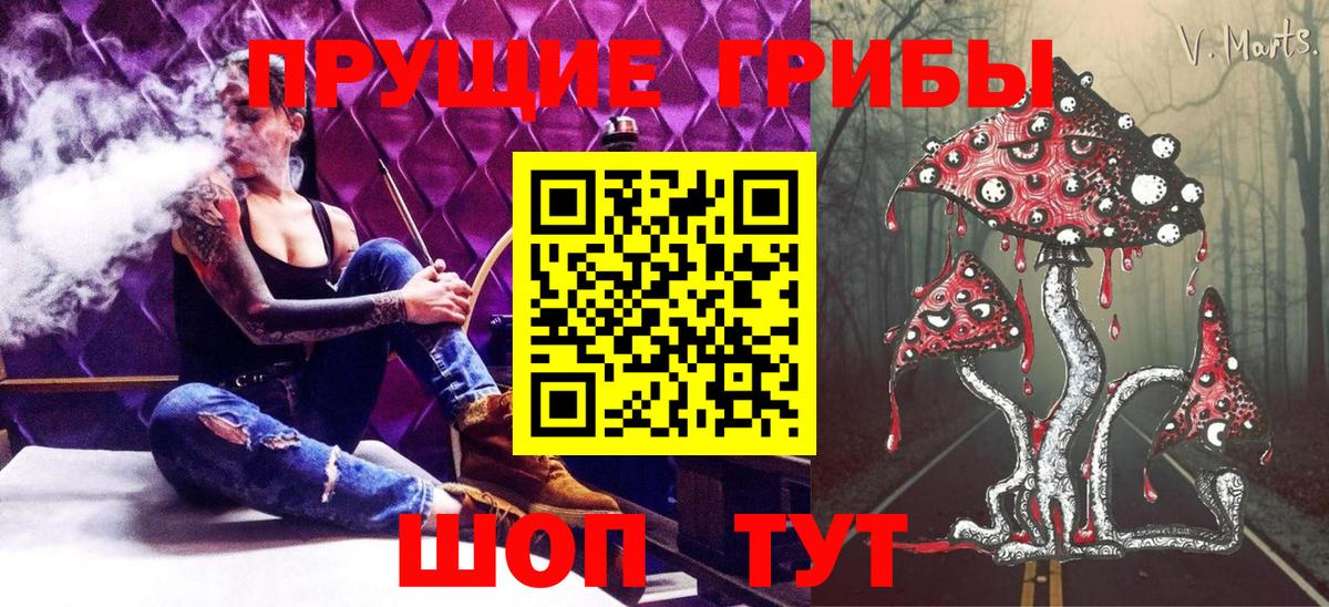 Гусев  Псилоцибиновые грибы Psilocybe  Вход с VPN 